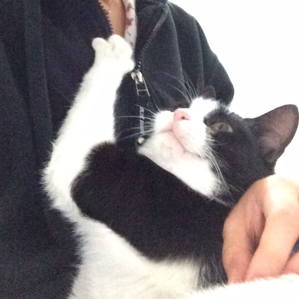 Meet your Posher, Tali